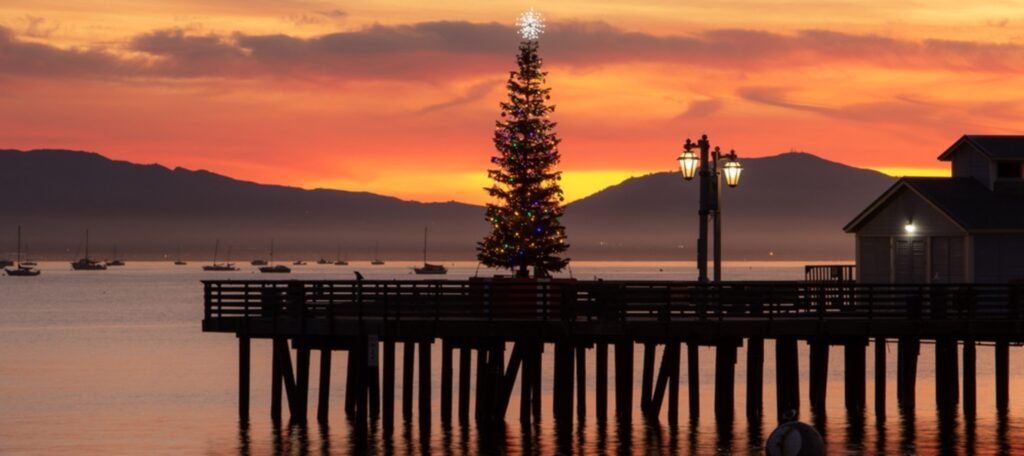 A Christmas tree set up overlooking the ocean in Santa Barbara